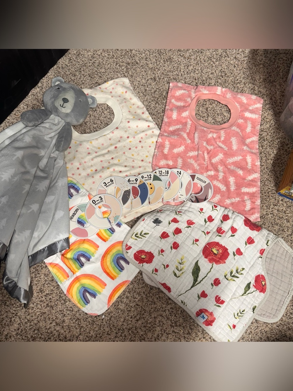 Baby Bib/Lovey/burp Cloth & Closet Organizer Lot